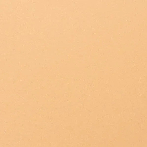 Clairefontaine - Maya Cardstock 120lb Paper - 20x28"
