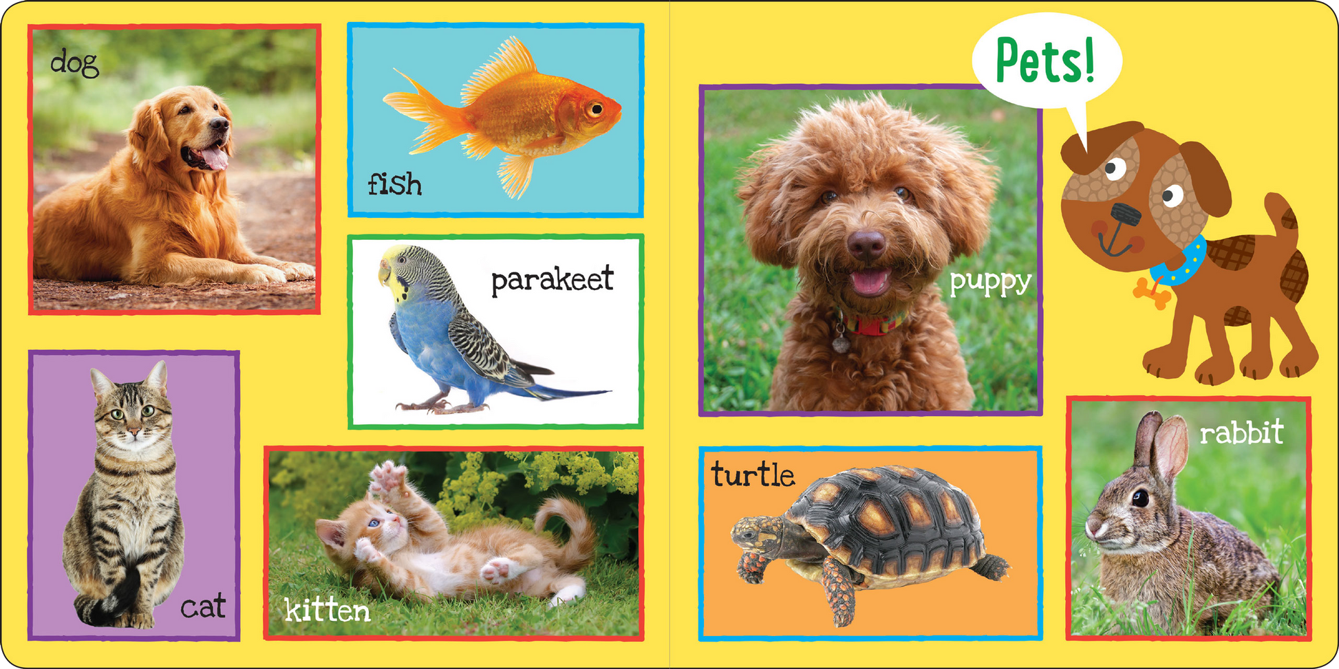 Peter Pauper Press - My First 101 WORDS Board Book - Peter Pauper Press - Glee Garden