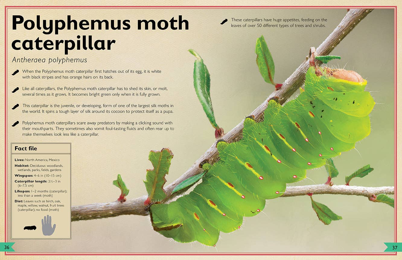 Insight Editions - The Magnificent Book of Butterflies & Moths