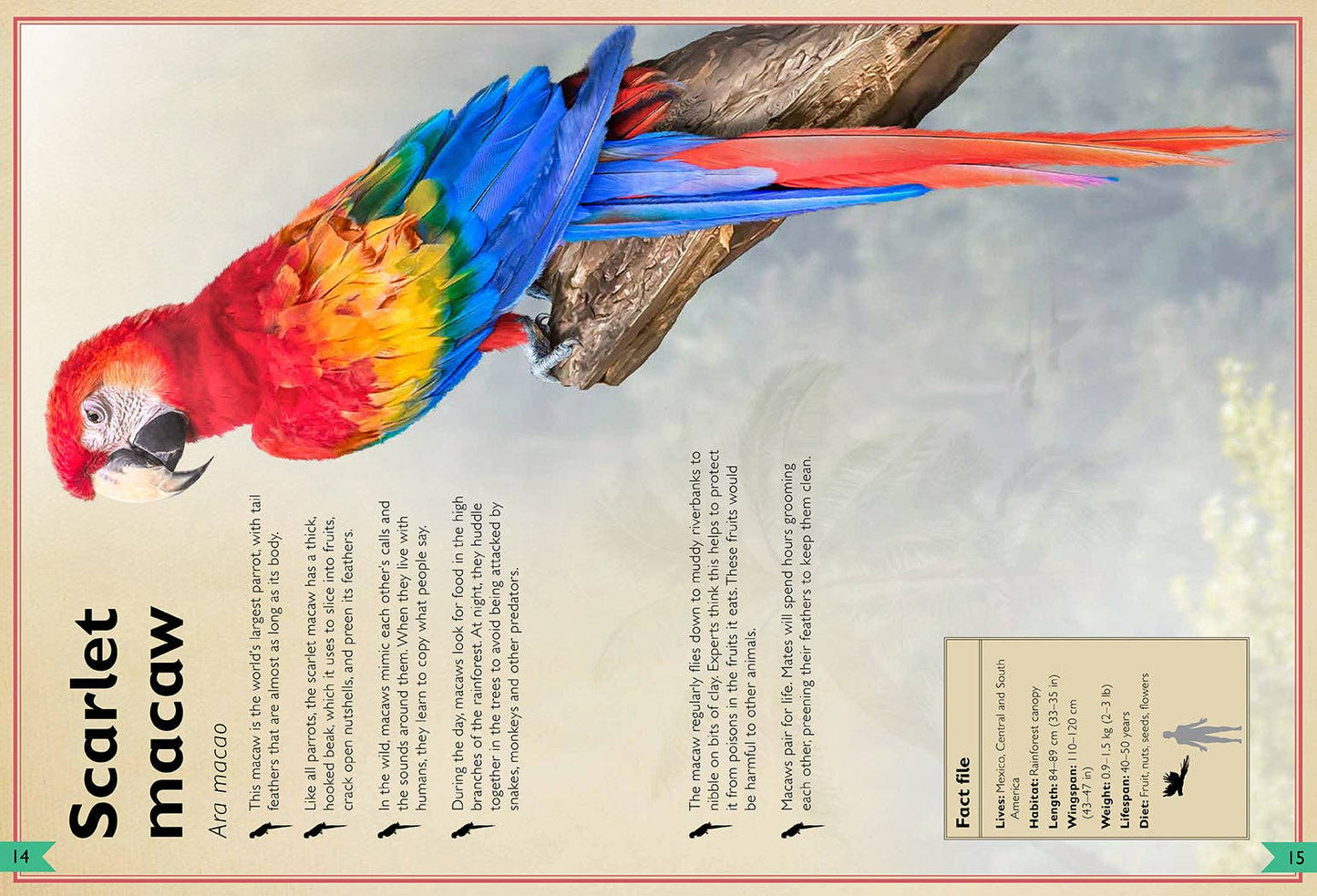 Insight Editions - The Magnificent Book of Birds