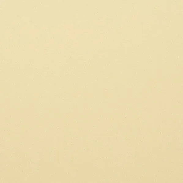 Clairefontaine - Maya Cardstock 120lb Paper - 20x28"