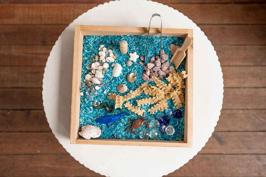 Ocean Sensory Play Kit