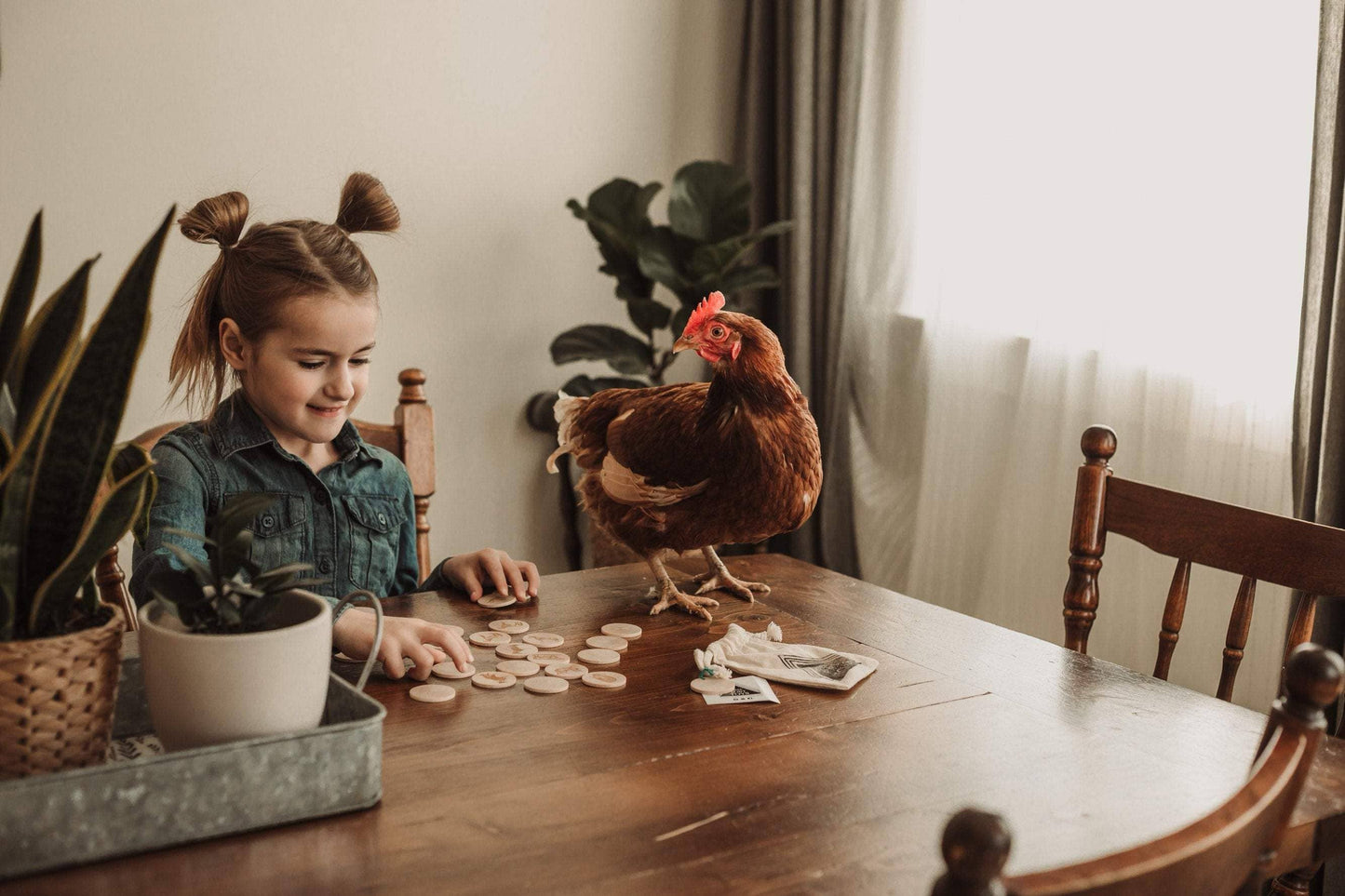 Tree Fort Toys - Farm Animal Memory Matching Game - Made in Canada