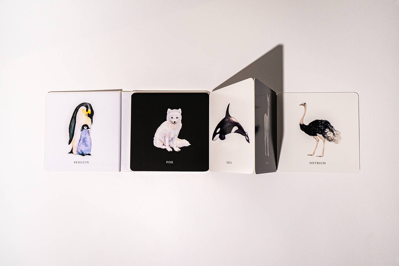 Black and White Contrast Book - Paige Tate & Co. - Glee Garden