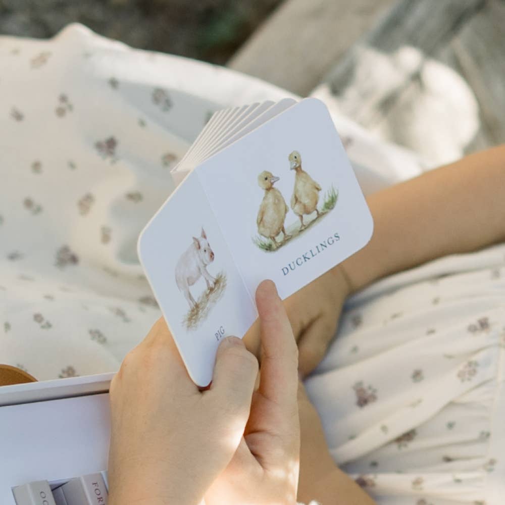 Our Very Little Library Board Book Set (10 Mini Board Books) - Paige Tate & Co. - Glee Garden