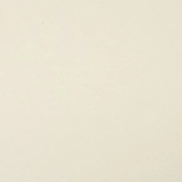 Clairefontaine - Maya Cardstock 120lb Paper - 20x28"