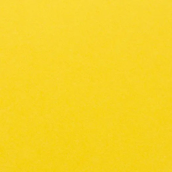 Clairefontaine - Maya Cardstock 120lb Paper - 20x28"