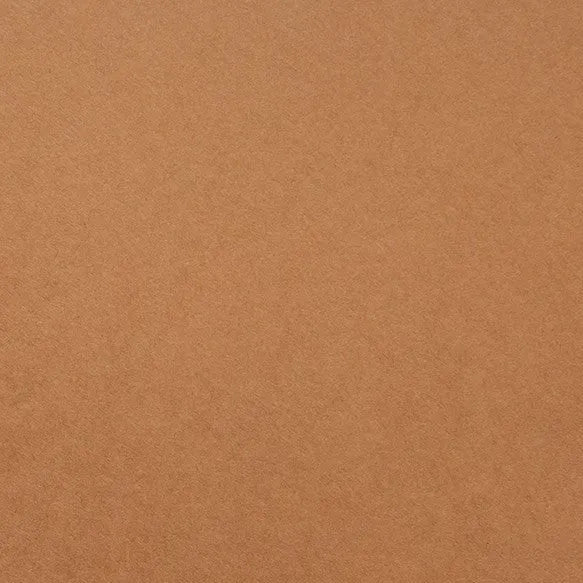 Clairefontaine - Maya Cardstock 120lb Paper - 20x28"