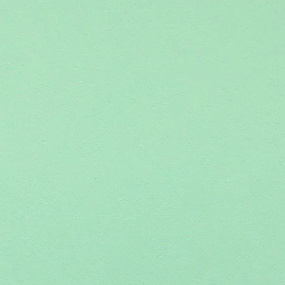 Clairefontaine - Maya Cardstock 120lb Paper - 20x28"