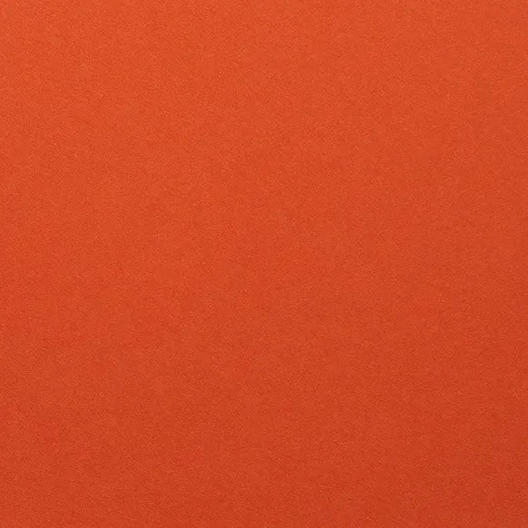 Clairefontaine - Maya Cardstock 120lb Paper - 20x28"