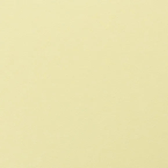 Clairefontaine - Maya Cardstock 120lb Paper - 20x28"