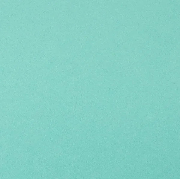 Clairefontaine - Maya Cardstock 120lb Paper - 20x28"