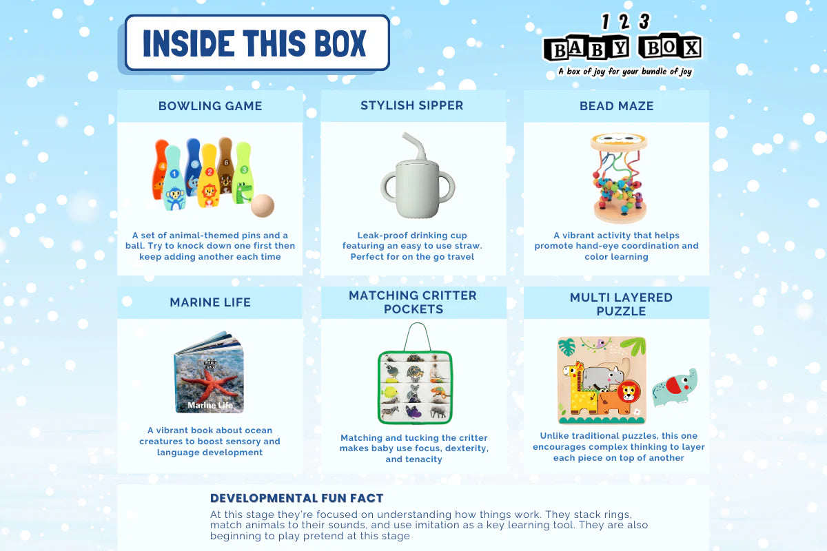 123 Baby Box - 19-21 Months Montessori Educational Box